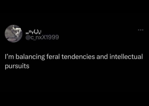991a8179f8a3d9ea78ce17db58d6e08e.jpeg