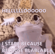 444401820cdbdf42e3d96a123c4f1252.gif