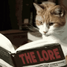 4a8d696a13821998f053ee57c3f8b6c0.gif