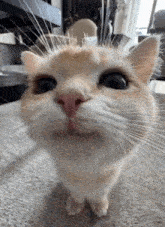 65f4b967f48da930e12ab57116fa5728.gif