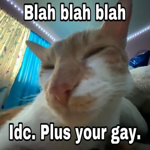 1ce6b90c7b6be423724cdbd62191532e.jpeg