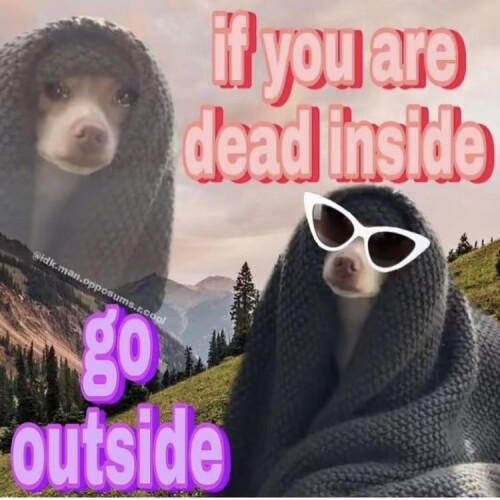 3ece795dfce65261df4b8328dd2509de.jpeg