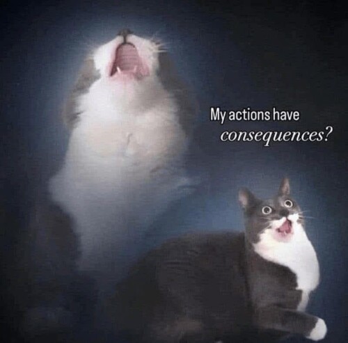 743a56192f3ab25bb315dbb981453369.jpeg
