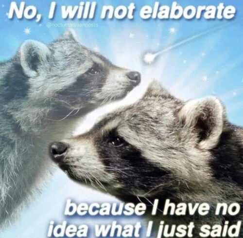 8d3cbf321d9ed38b948410a4abbe4ca2.jpeg