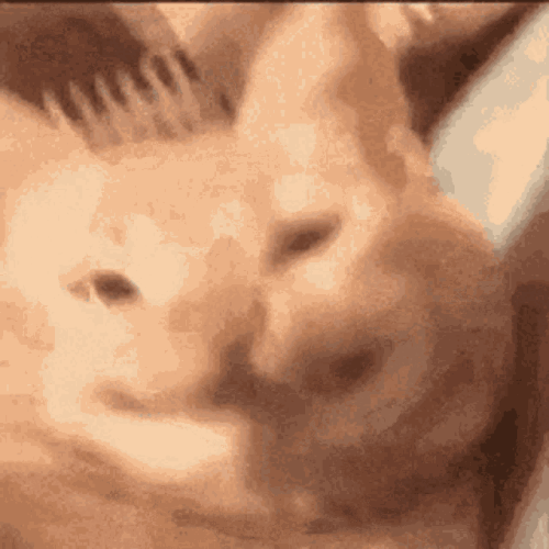 7faa8137b082fae3134a9dbdc892c822.gif
