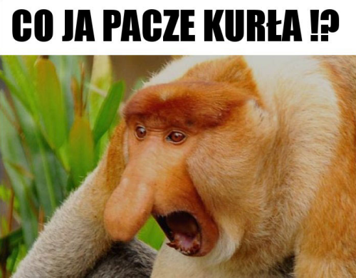 5825df9972941a59628e2abe721562ee.png